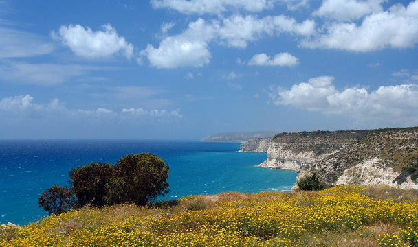 baie d'episkopie &agrave; chypre