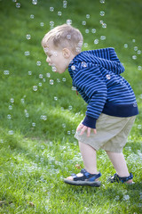 Bubble fun