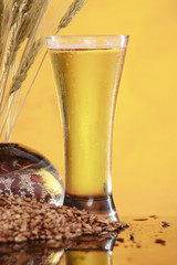 Tall cool beer, wheat and barley