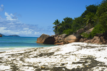 Cote D'Or beach, Praslin island, Seychelles