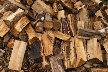 Pile Of Cut And Split Firewood