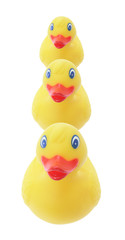 Rubber Ducks
