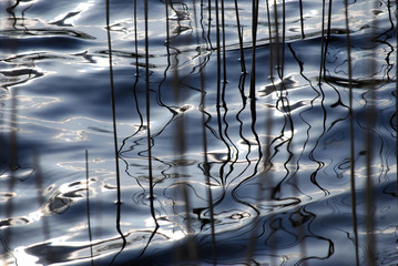 Water impressions
