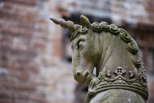 The Last Unicorn