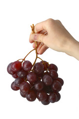 isolated grapes