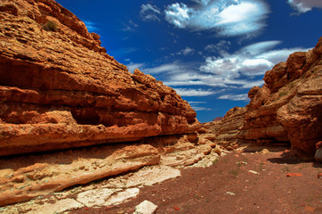 CATHEDRAL WASH_ARIZONA