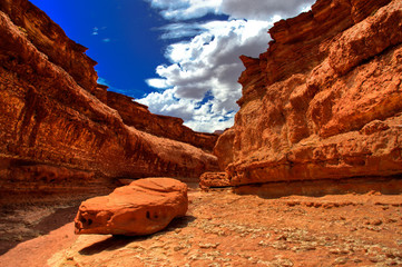 CATHEDRAL WASH_ARIZONA