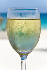 Chilled White Wine on a Tropical Beach