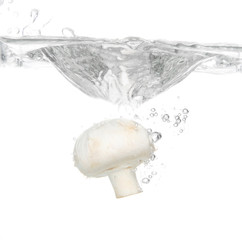 mushroom splash
