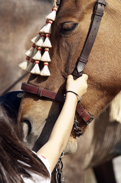 niña acariciando un caballo