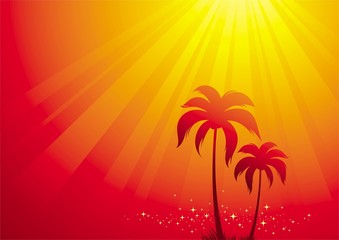 Fototapeta na wymiar Illustration with palm trees & sunlight