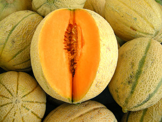 Honigmelone