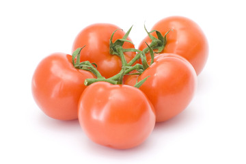 fresh tomatoes
