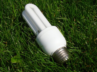 ampoule