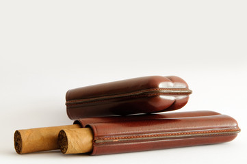 Puros habanos en cigarrera de piel
