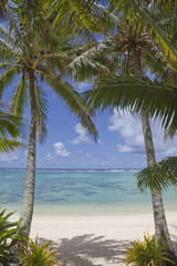 Panele Szklane  Para palm na tropikalnej plaży