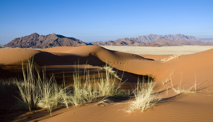 NAMIBIE - Elim Dune