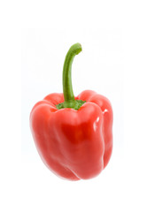 pepper