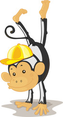 Obraz na płótnie Canvas monkey playing