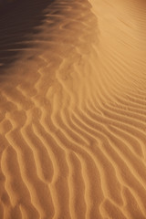 close-up of desert sand patterns