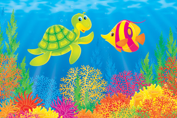 Coral fish and turtle