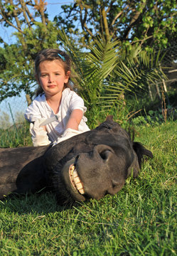 fillette jouant avec son cheval couch&eacute;