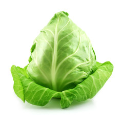Fototapeta premium Ripe Green Cabbage Isolated on White