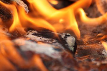fogo