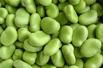 close up shot of broad beans - obrazy, fototapety, plakaty