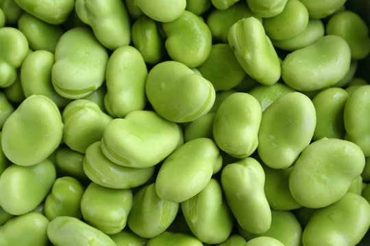 close up shot of broad beans