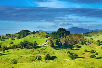Keuken spatwand met foto New Zealand landscape © Dmitry Pichugin
