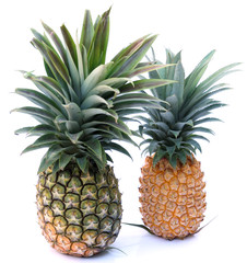 Obraz premium ananas 