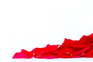 rose petals