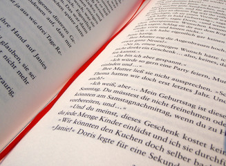 Obraz premium Buch und Sonnenbrille