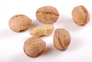 Walnut
