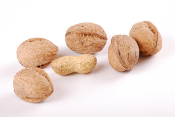 Walnut