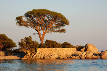 Tamaricciu beach at sunset