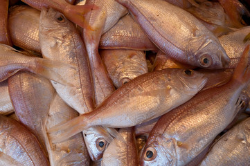 Obraz premium Fish at a market