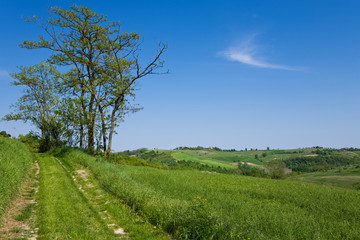 Monferrato