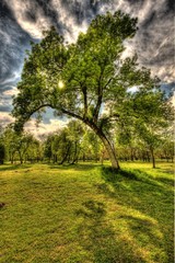 landscape
