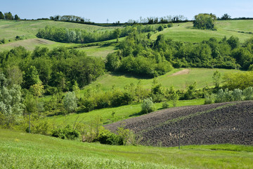 Monferrato2