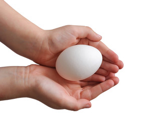Fototapeta na wymiar egg in the hands (isolated)