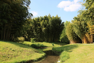 ruisseau