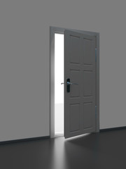 Door to light