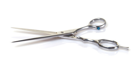 Professional Cutting Shears