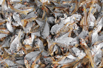 Drying fish