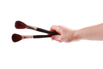 Cosmetic brushes for a make-up