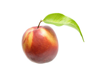 Nectarine isolated on white background