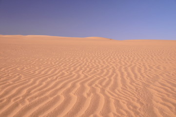 Désert du namib