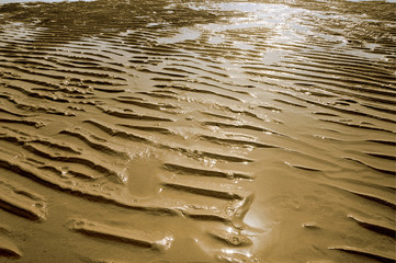 Sand ripples